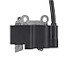 Ignition Coil Engine Module for Echo ES-250 PB-250 PB250LN PB252 A411000501 A411000500