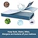 PAINISTIC Edilly Queen Size Premium Hypoallergenic 100% Waterproof Mattress Pad Protector Cover Breathable Fitted 8