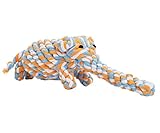 EXPAWLORER Cotton Dental Teaser Puppy Pet Chew Rope Toys for Small Dog Biting 11-inch,Assorted Color Elephant