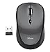 Trust 21432 Yvi 2.4G Wireless Portable Mouse with Storable USB Nano Reciever and 2 DPI Levels, Black