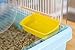 IRIS USA Hamster and Gerbil Pet Cage, 3-Tier, Blue