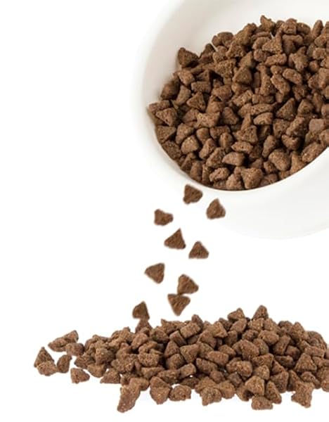 HARLOW BLEND GF TURKEY FUSION CAT 12LB