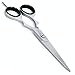 HHR Professional Hairdressing Grooming Hair Scissors Haircutting Barber Salon Shears Mustache Beard Hairdresser Styling Thinning Trimming Hair Cutting Kids Men Women 5.5 Stainless Steel 1YEAR WARRANTY