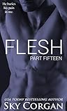 Flesh: Part Fifteen (The Flesh Series Book 15)