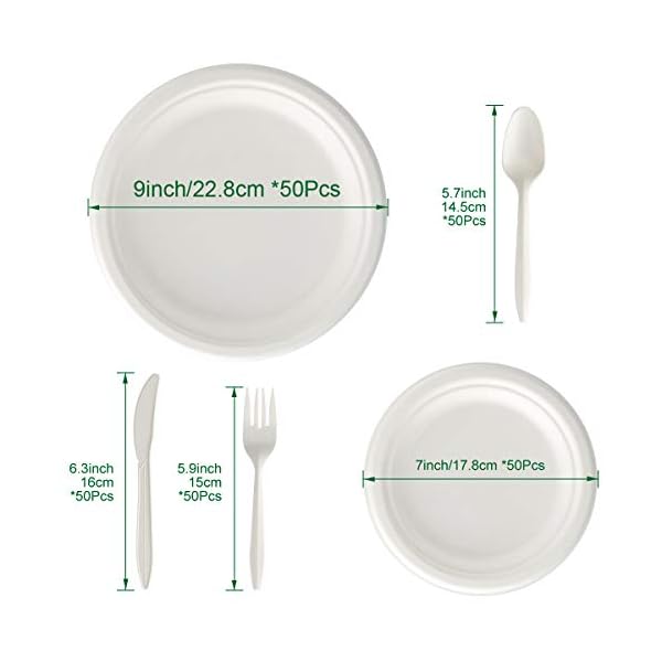 Aitsite-250Pcs-9-Paper-Plates-Party-Tableware-Eco-Friendly-Dinnerware-Set-Includes-50-Plates-Forks-Knives-and-Spoons-Combo-for-Party-Camping-Picnic Aitsite 250Pcs Plates and Cutlery Set, Biodegradable Tableware Set for 50 Guests Includes 9''+7'' Paper Plates, Forks…