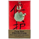 ZORBITZ Feng Shui Luck Charms Protection, 1 EA