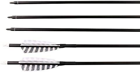 CNSE 32-Inch Carbon Arrows with 4-Inch Feather Fletching Replaceable Points Hunting Arrows Targeting Arrows Spine 400 for Recurve Bow Longbow Hunting Bow( pack of 6)