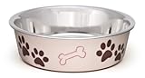 Loving Pets Bella Bowl for Dogs, Large, Paparazzi Pink