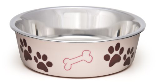 Loving Pets Bella Bowl for Dogs, Large, Paparazzi Pink - //medicalbooks.filipinodoctors.org