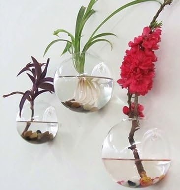 Wufa Hanging Glass Wall Vase Flower Plant Terrarium Hemisphere Fishbowl Set of 3