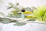 24 Hour Organic Eye Renewal Serum Noticeable Reduces Fine Lines Right Away from Queen Bee