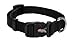 Nylon Prism Snap-N-Go Collar by Weaver Leather, Black, 3/4