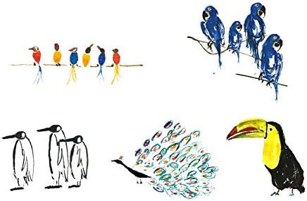 Greeting Cards with Birds for Birthday Get Well Soon Anniversary Sorry Penguin Peacock Toucan Hyacinth Macaw Singing Birds (pack of 10) from GayaCards