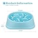 Pet Slow Feeder Dog Bowls for Dog Cats, Bloat Stop Puzzle Bowl Fun Maze Feeder Slow Feeding Anti-Skid Healthy Design