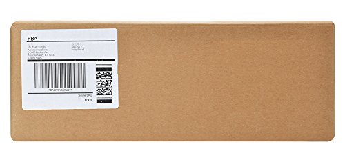 MFLABEL 6-UP 100 Sheets Internet Shipping Labels 3-1/3