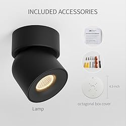 Aisilan LED Ceiling Spot Light Indoor Dimmable 2
