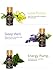 LA PURE Essential Oil Set Blends for Aromatherapy-Flower Blend Set-Therapeutic Grade 100% pure, Gift Set-7/10ml. (Lavender, Orange, Peppermint, Lemon, Eucalyptus, Rose Otto) Free Ebook + Free Shipping