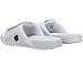 Nike Jordan Mens Jordan Hydro XIII Retro White/Metallic Silver Sandal 9 Men US