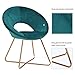 Teal Modern Accent Chair Set of 2,Reception Arm Chair Mid-Century Leisure Lounge Chairs Velvet Cushion for Living Room Easy Assembly