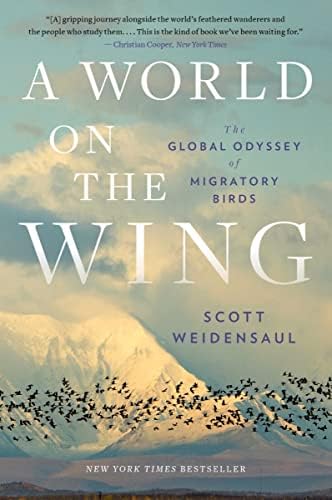 Imperial Dreams: Tracking the Imperial Woodpecker Through the Wild