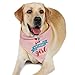 JOYLOADER Dog Birthday Bandana Girl - Dog Birthday Party Supplies - Birthday Girl Dog Bandana - Ideal Birthday Gift Idea for Pet