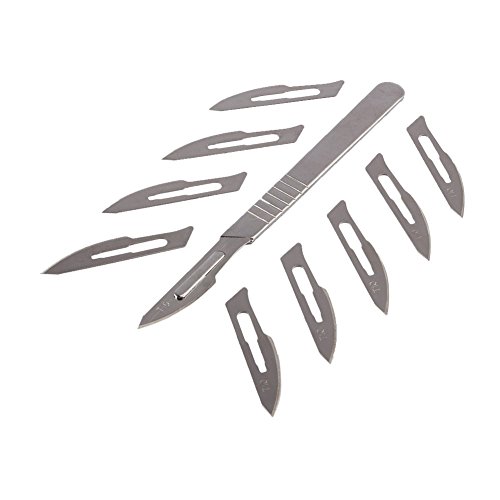 100 scalpel blades #10 and includes one handle #3