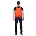 Favofit 35L Packable Lightweight Daypack - Backpack for Camping Hiking Cycling Travel and Daily Usage (Orange)