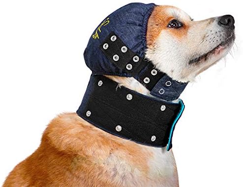 MPS Medical Pet Shirt, Head Cover for Dogs Large, Blue