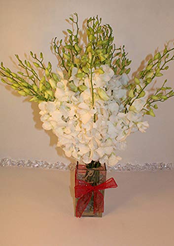 Athena S Gardenathena S Garden Mother S Day Special Fresh Cut Snow White Orchid Bouquet For Love 30 Stems With Glass Vase Dailymail