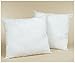 IZO All Supply Set of 2-20 x 20 Square Sham Stuffer Hypo-Allergenic Poly Pillow Form Insert
