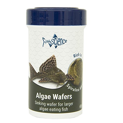 FishScience Algae Wafers 40g Aquarium Fish Food