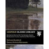 Beyond the Melting Pot; The Negroes, Puerto Ricans, Jews, Italians, and Irish of New York City