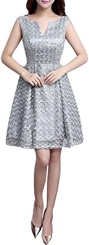 Levory J Women's Retro Floral Lace Cap Sleeve Vintage Swing Bridesmaid Dress (2, Silver Grey-2)