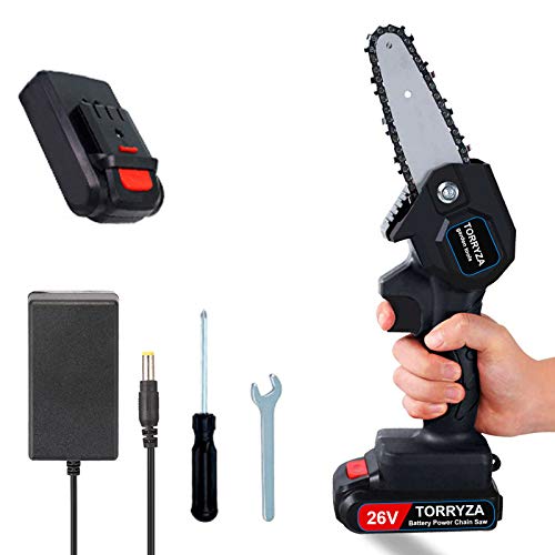 TORRYZA Mini Chainsaw 4Inch Cordless Power Chain Saws, Portable 26V