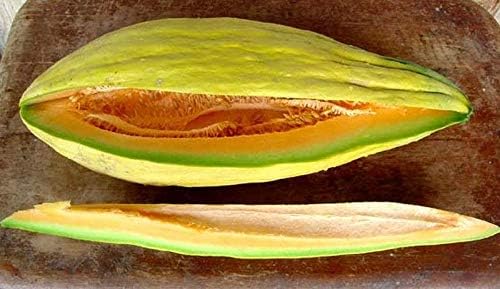 Banana Melon - Banana-shaped fruit! - Sweet & Spicy Salmon Flesh! (10 - Seeds)