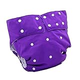 LukLoy Women's Adults Cloth Diapers for Incontinence Care Protective Underwear -Dual Opening Pocket Washable Adjustable Reusable Leakfree (Purple)