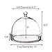 CYS EXCEL Glass Bell Dome Jar with Tray, Dessert Display Candy Buffet Showcase, Plant Terrarium Cover, Pack of 1