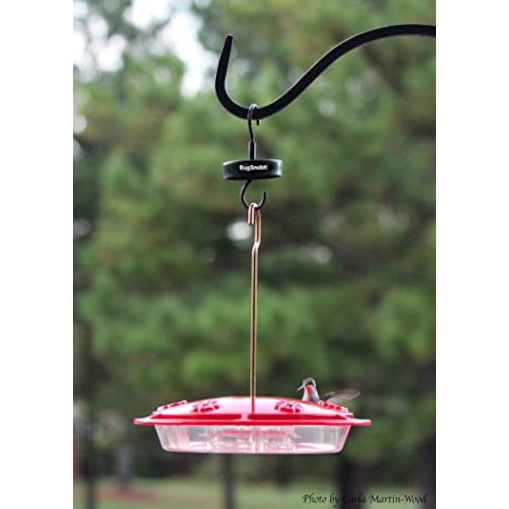 Hummingbird Nectar Ant Guard Moat Free, Poison Deterrent For Feeders