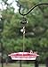 BugSnub Hanging Ant Guard (1-Pack)- Ant Defense for Hummingbird Feeders, Unique Upside-Down Design, No Liquid Moat
