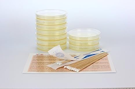 ez bioresearch bacteria science kit