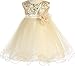 Little Baby Girl Dress Stunning Sequin Tulle Infant Toddler Flower Girl Dress
