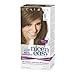 Clairol Nice 'N Easy Non-Permanent Hair Color 90 Dark Ash Blonde 1 Kit