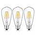 OMAYKEY LED Edison Bulb 6W (60W Equivalent) 3000K Soft White 600 Lumens, E26 Medium Base Dimmable ST64 Vintage Edison Light Bulbs, 360 Degree Beam Angle, 3 Pack