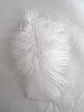 Turkey plumage, Approx 200 feathers, Many Color Options, per ounce, by Lamplight Feather Inc. (White)