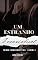 Livro Um Estranho Irresistível : Série Irresistível Amor -1