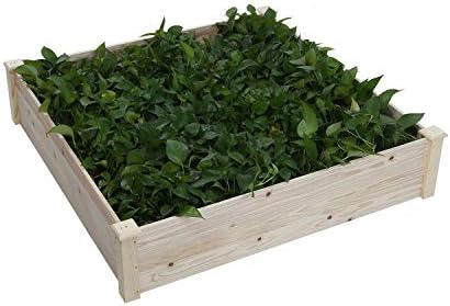 Gharpbik Patio Raised Wood Planter,Garden Bed for Backyard,Grow Fresh Vegetables, Herb, Flowers & Succulents,Fir Boards