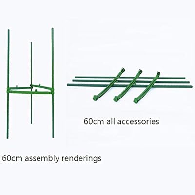 ZHANGZHIYUA Plantas en jaulas Ensambladas Tomate Jaulas en el ...