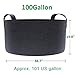 Gardzen 2-Pack 100 Gallon Grow Bags, Aeration Fabric Pots with Handles, Pot for Plantsthumb 1