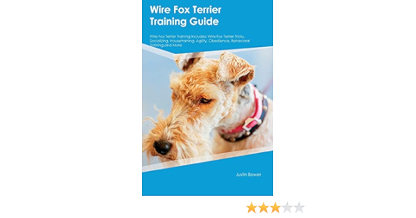 wire fox terrier training
