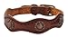Weaver Leather Sundance Dog Collar, 3/4 x 17-Inch, Brown